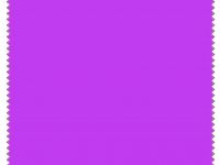 Untitled 5