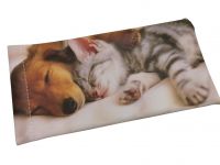    1 DIGITAL PET